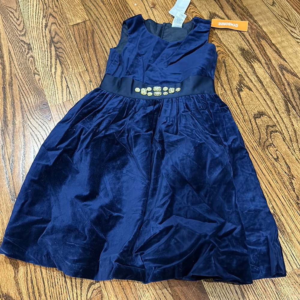 Gymboree Velvet Dress